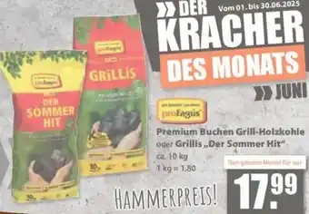 V Baumarkt Profagús Premium Buchen Grill-Holzkohle oder Grillis ,,Der Sommer Hit" Angebot