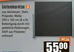V Baumarkt Seitenmarkise Angebot
