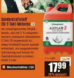 V Baumarkt Sonderkraftstoff für 2-Takt-Motoren Angebot