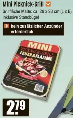 V Baumarkt Mini Picknick-Grill Angebot