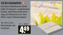 V Baumarkt Via Terrassenplatte Angebot