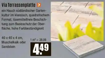 V Baumarkt Via Terrassenplatte Angebot