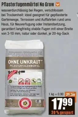 V Baumarkt Pflasterfugenmörtel No Grow Angebot