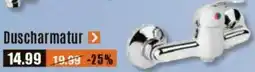 V Baumarkt Duscharmatur Angebot