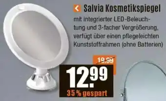 V Baumarkt Jokey Salvia Kosmetikspiegel Angebot