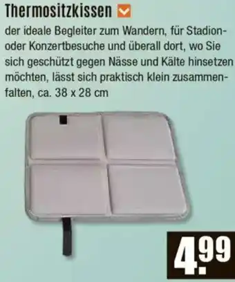 V Baumarkt Thermositzkissen Angebot