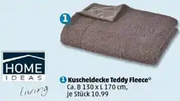 PENNY HOME IDEAS Living Kuscheldecke Teddy Fleece Angebot