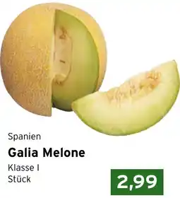 CAP Markt Spanien Galia Melone Angebot