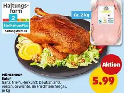 PENNY MÜHLENHOF Ente Angebot