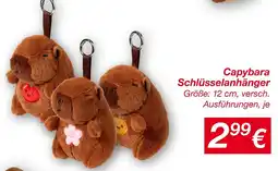 KiK Capybara schlüsselanhänger Angebot