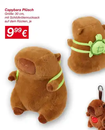 KiK Capybara plüsch Angebot