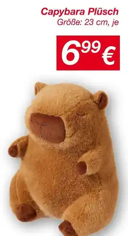 KiK Capybara plüsch Angebot