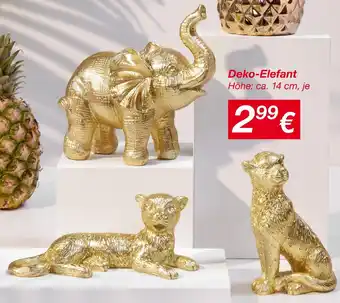 KiK Deko-elefant Angebot