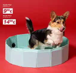 KiK Hunde-pool Angebot