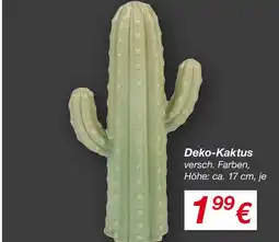 KiK Deko-kaktus Angebot