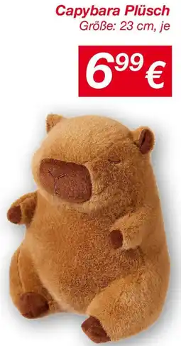 KiK Capybara Plüsch Angebot