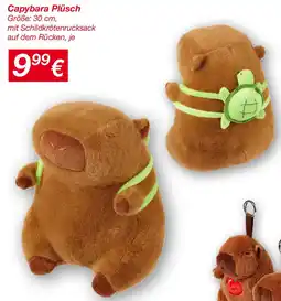KiK Capybara Plüsch Angebot