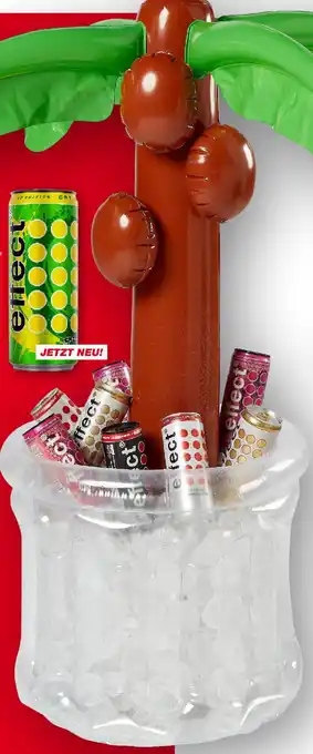KiK Aufblasbare Palme Angebot
