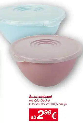 KiK Salatschüssel Angebot