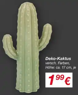 KiK Deko-Kaktus Angebot