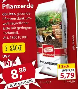 Sonderpreis Baumarkt Pflanzerde Angebot