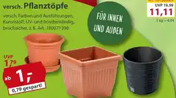 Sonderpreis Baumarkt versch. Pflanztöpfe Angebot