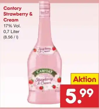 Netto Marken-Discount Cantory Strawberry & Cream 0,7L Angebot