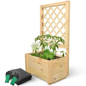 Netto Marken-Discount holz4homeÂ Pflanzkasten mit Rankgitter S Angebot