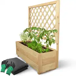 Netto Marken-Discount holz4homeÂ Pflanzkasten mit Rankgitter M Angebot