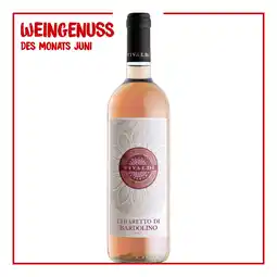 Netto Marken-Discount Vivaldi Chiaretto di Bardolino DOC 12,0 % vol 0,75 Liter - Inhalt: 6 Flaschen Angebot
