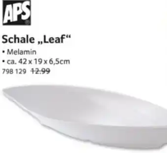 Selgros APS Schale ,,Leaf" Angebot