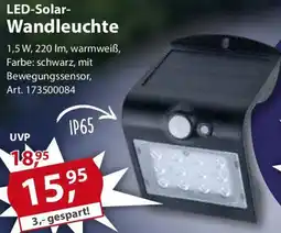 Sonderpreis Baumarkt LED-Solar Wandleuchte Angebot