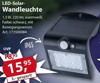 Sonderpreis Baumarkt LED-Solar Wandleuchte Angebot