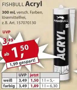 Sonderpreis Baumarkt FISHBULL Acryl Angebot