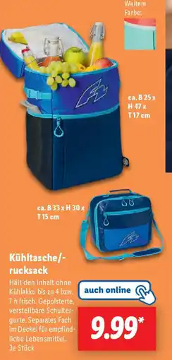 Lidl Kühltasche/- rucksack Angebot