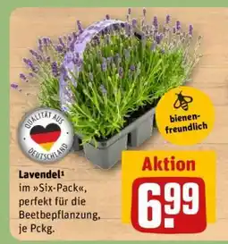 REWE Lavendel Angebot