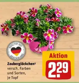 REWE Zauberglöckchen Angebot
