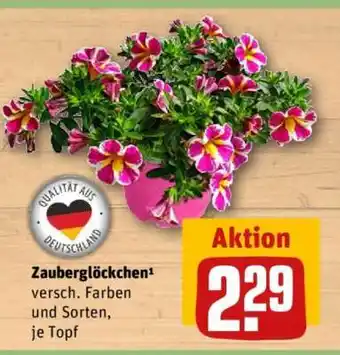 REWE Zauberglöckchen Angebot