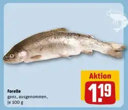 REWE Forelle Angebot