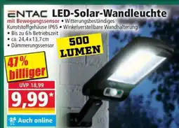 Norma ENTAC LED-Solar-Wandleuchte Angebot