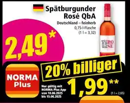Norma Spätburgunder Rosé QbA Angebot