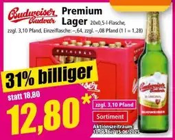 Norma Budweiser Budvar Premium Lager Angebot