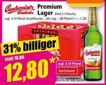Norma Budweiser Budvar Premium Lager Angebot
