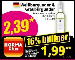 Norma Weißburgunder & Grauburgunder Angebot