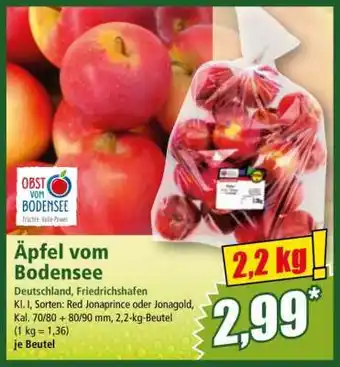 Norma Äpfel vom Bodensee Angebot