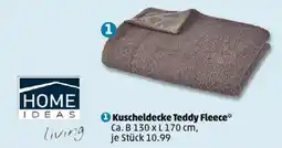 PENNY Kuscheldecke Teddy Fleece Angebot