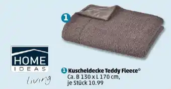 PENNY Kuscheldecke Teddy Fleece Angebot
