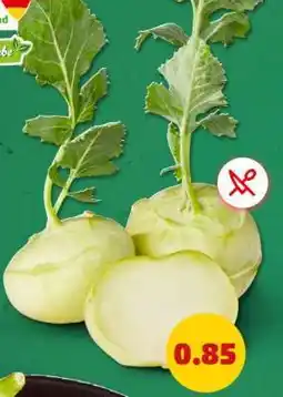 PENNY Kohlrabi Angebot