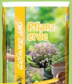 Thomas Philipps Grüner Jan Pflanzerde Angebot