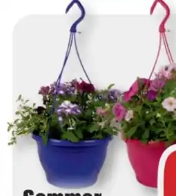 B1 Discount Baumarkt Sommer-Ampeln Angebot